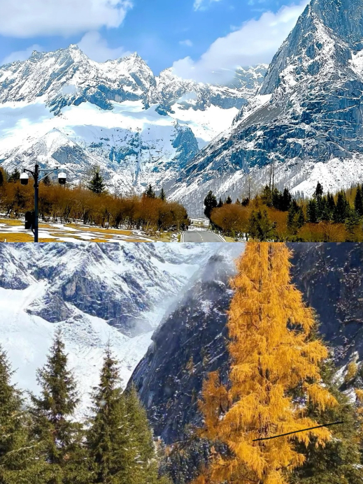 阿坝四姑娘山绒雪藏庄住宿餐厅图片