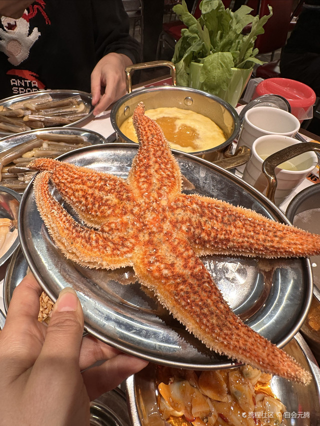 吃货帖!北京美食图鉴之行运打边炉