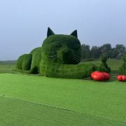 肉肉的旅行随手记录