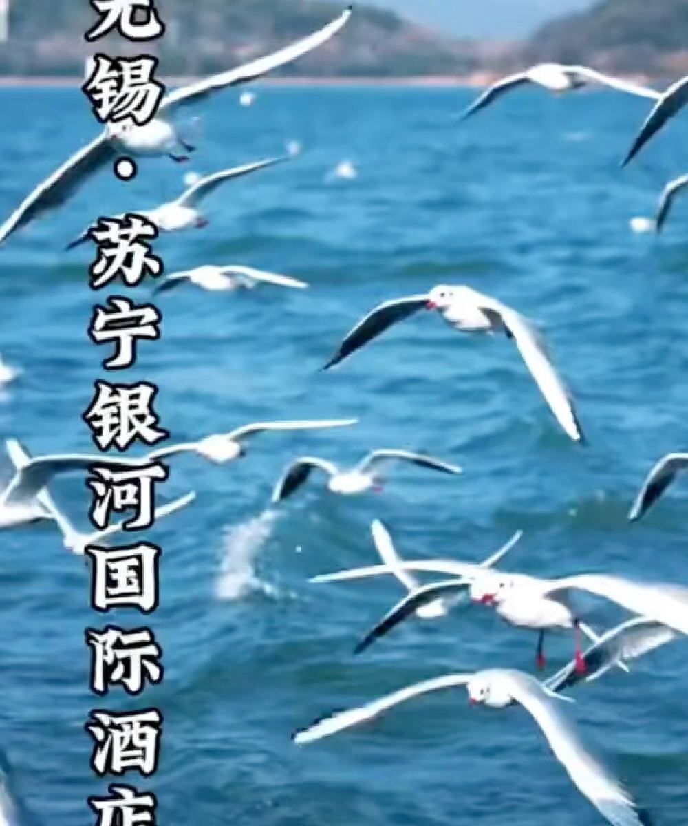 无锡苏宁银河国际酒店图片