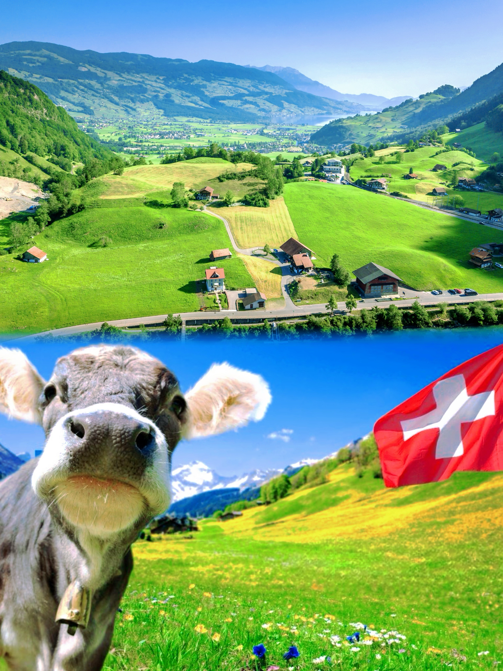 🚗💨【春日瑞士】一路美景到不可思议！🌸🏔