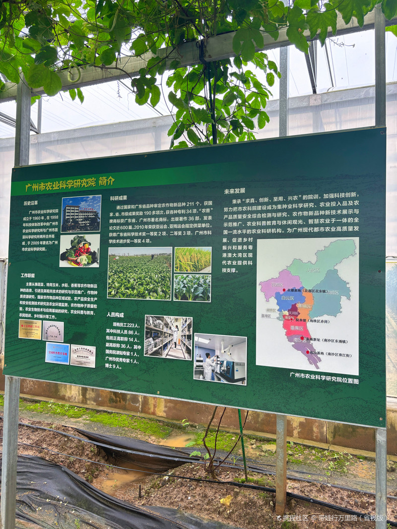 广州市农业科学研究院(南沙总部基地)