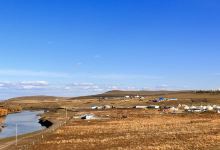 诺敏塔拉奶茶(锦都会店)美食图片