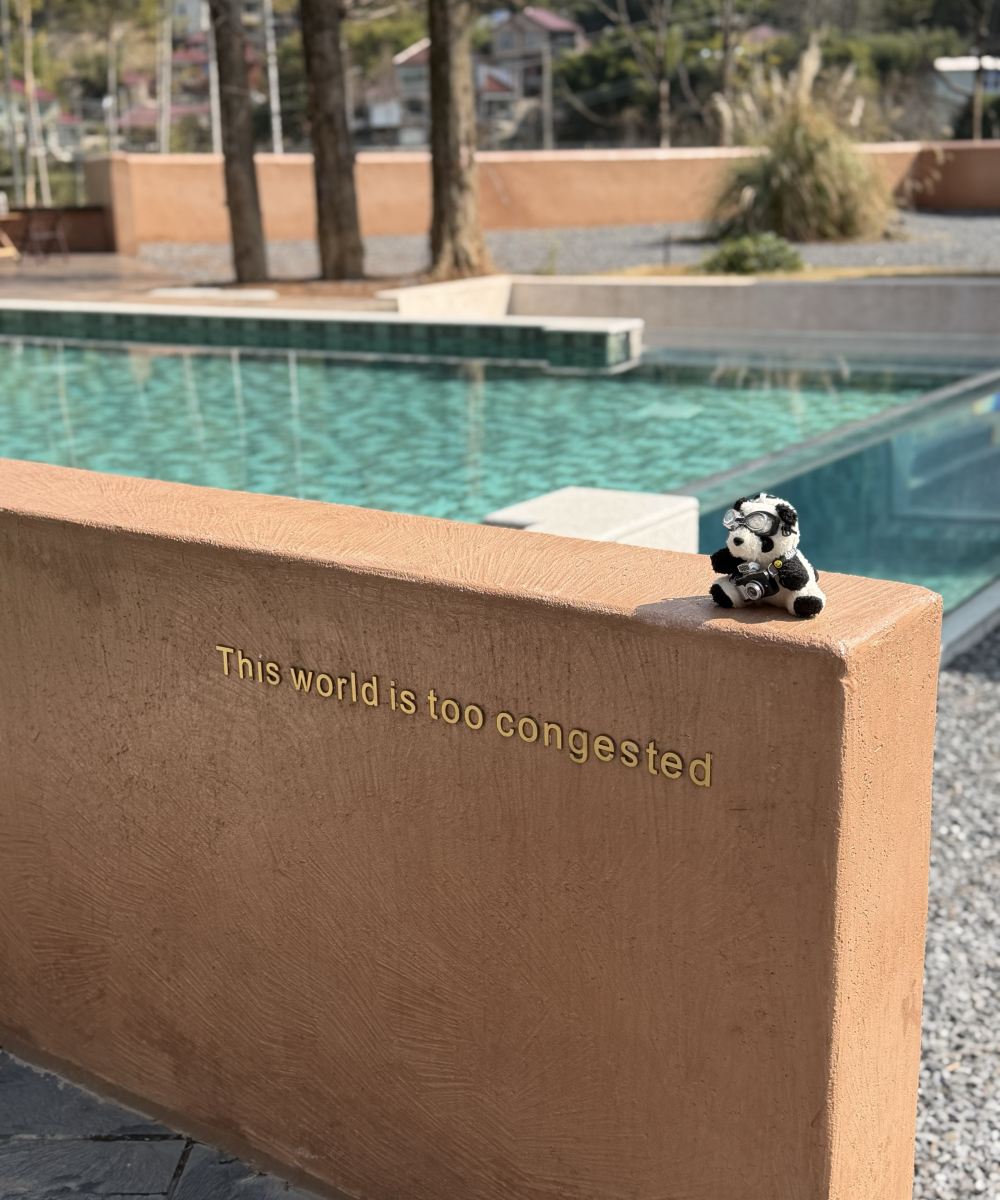 岩涺石Monster Planet民宿图片