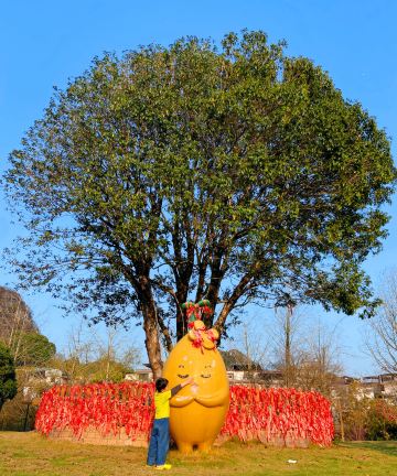 桂林桂花树下度假酒店(桂林站万象城店)图片