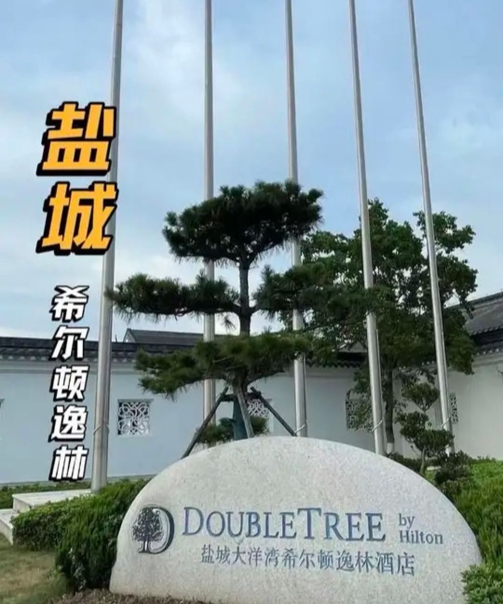 盐城大洋湾希尔顿逸林酒店图片