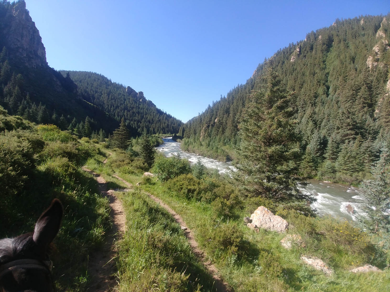 纵马山谷，草原和溪流。