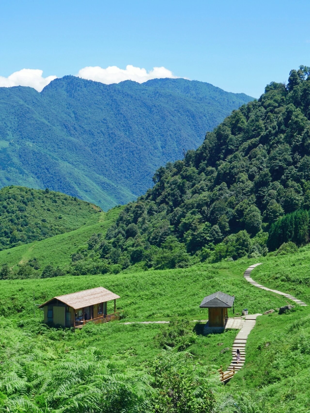 不是新疆，是黑竹沟马里冷旧，实地评测！！