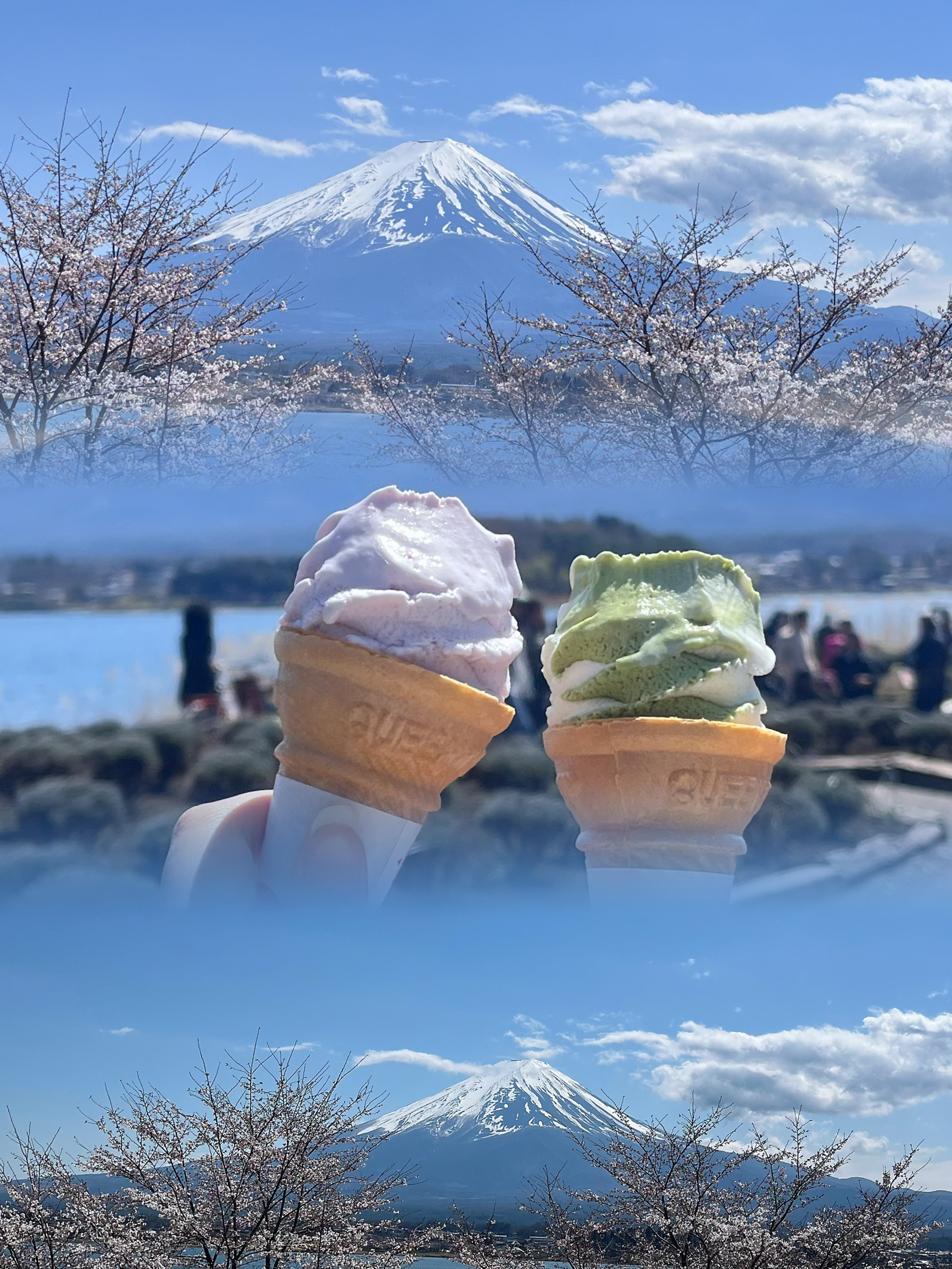 日本🇯🇵 🌸自由行攻略｜富士山下，东京之上