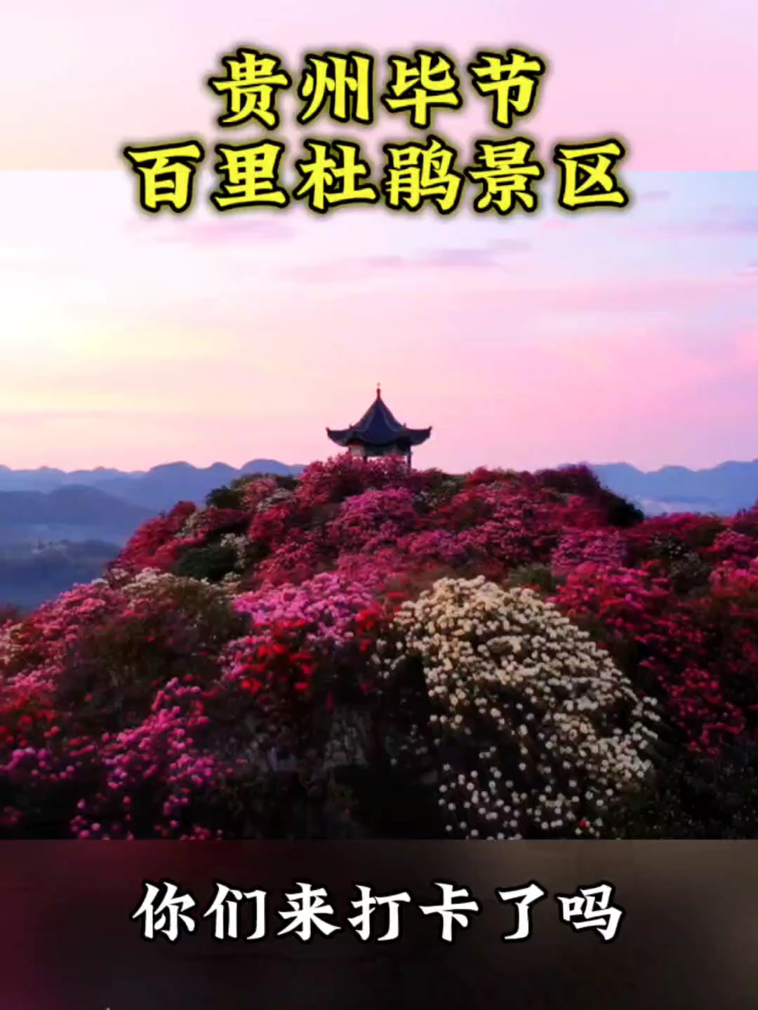 贵州毕节百里杜鹃景区内，发现引人入胜的藏津洞，贵州旅游景点#贵州旅游 #贵州旅游攻略 #我是旅行大玩