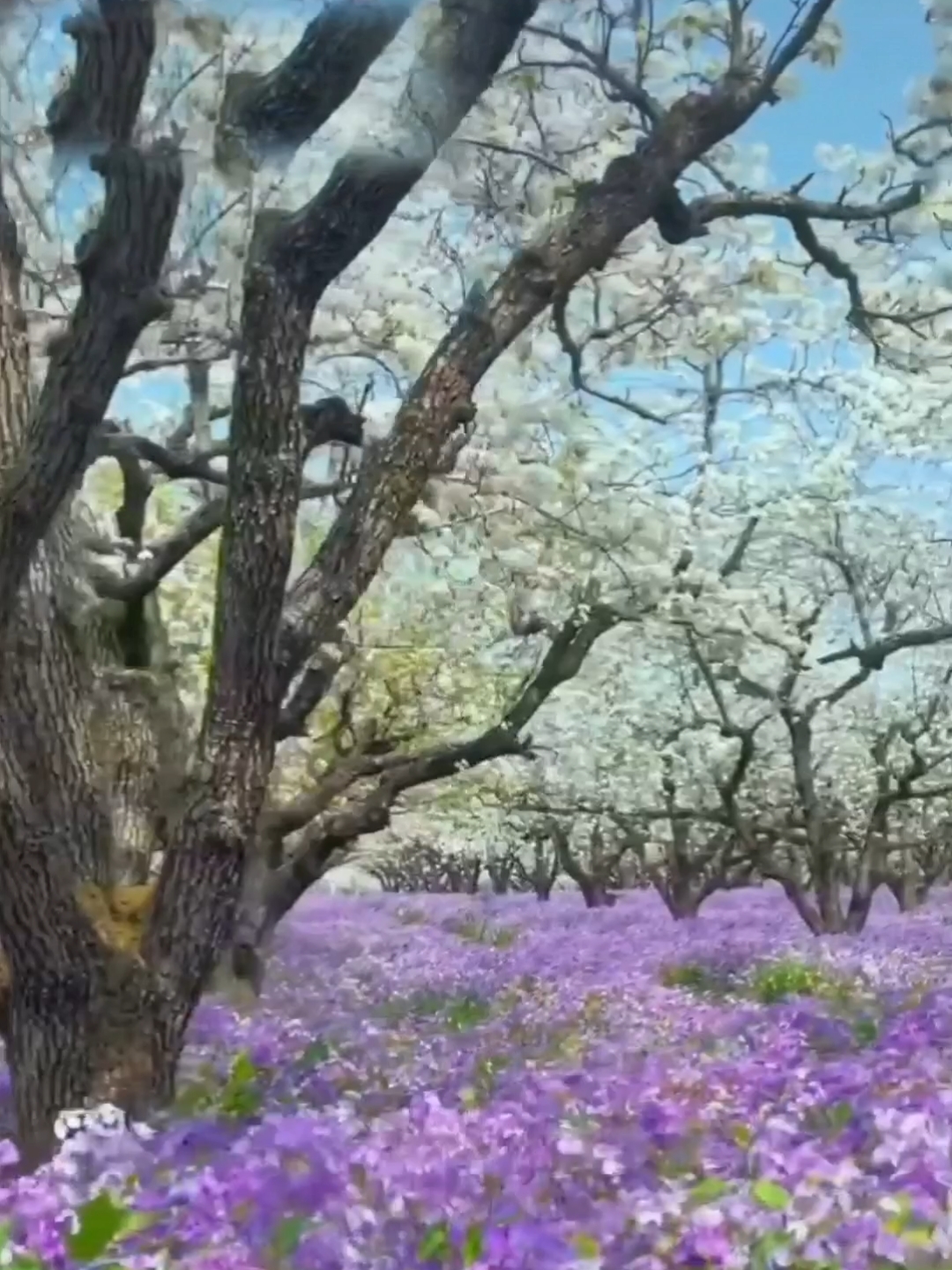 宿迁三台山森林公园