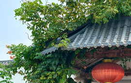 盛唐庄园