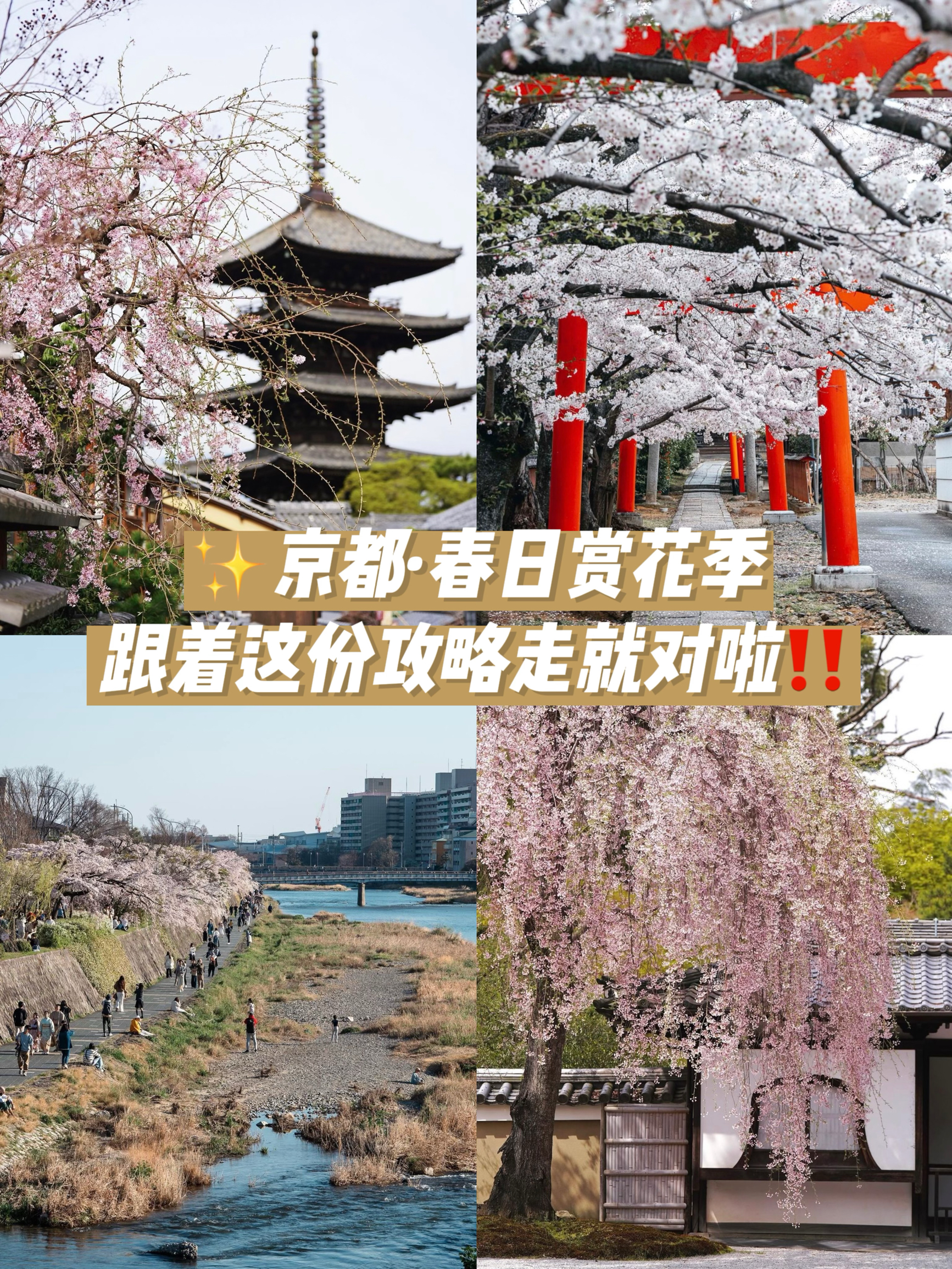 日本旅行｜京都踏春赏花攻略，三条路线看遍春日樱花之美🌸