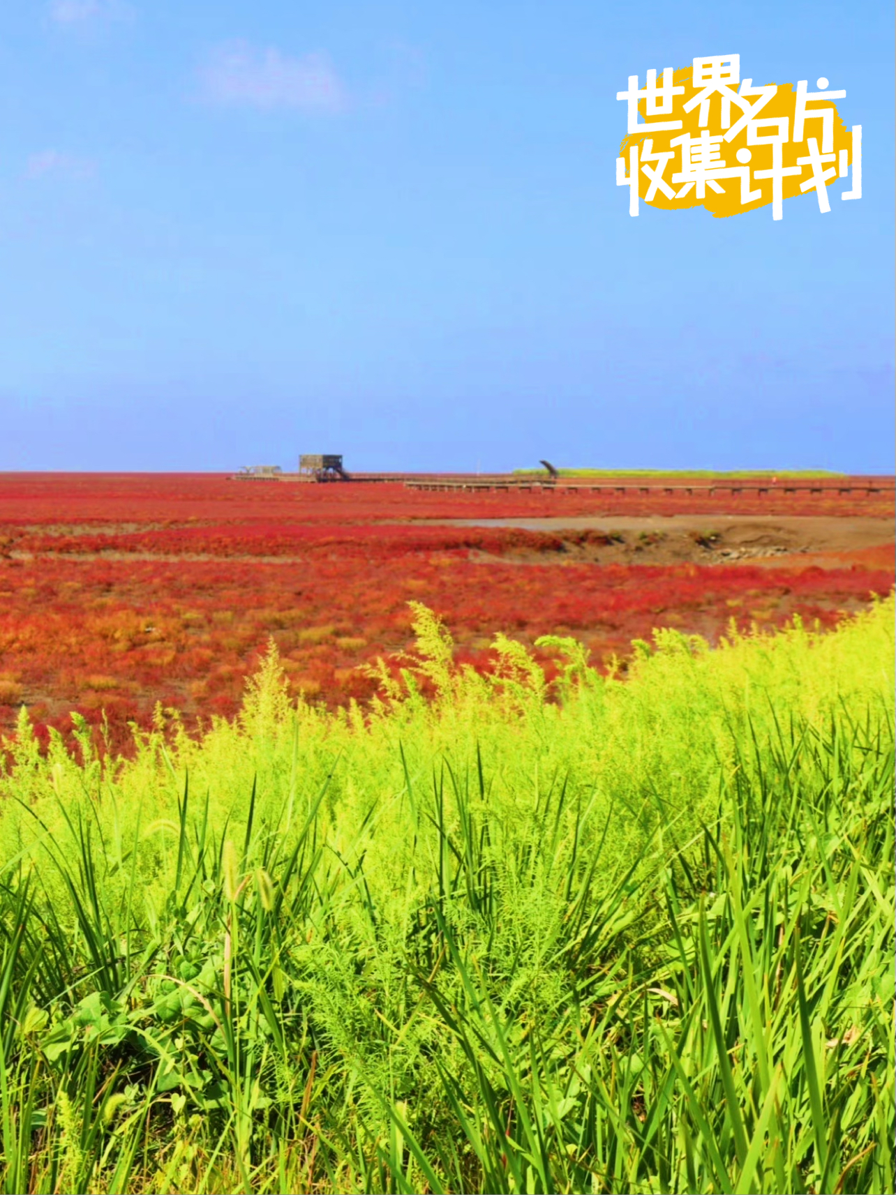 一起去辽宁旅行吧，盘锦最美的地方红海滩