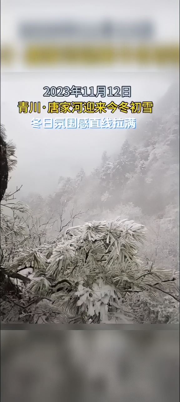 广元市青川唐家河自然保护区的第一场雪