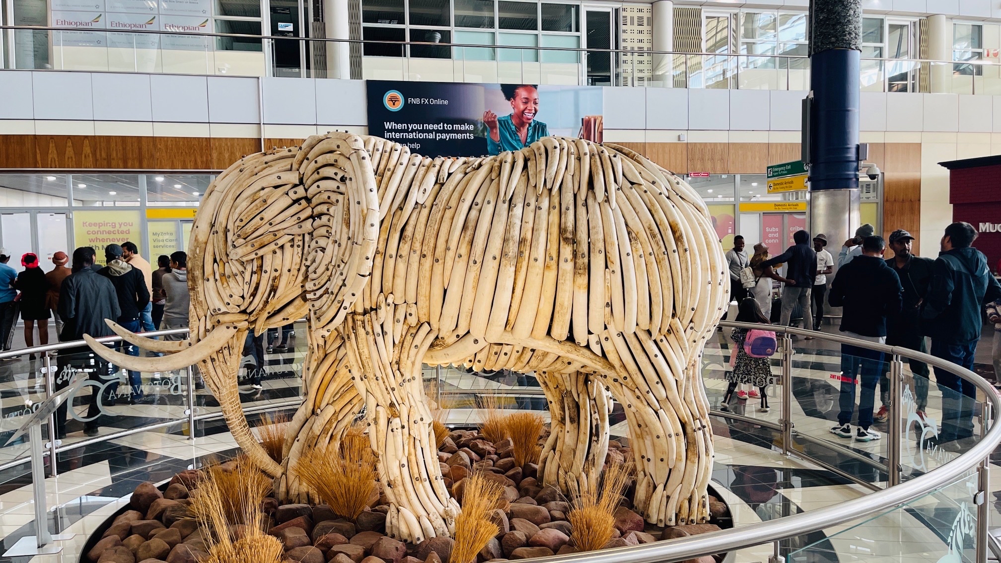 大象王国博茨瓦纳，首都机场有座纯象牙雕塑大象