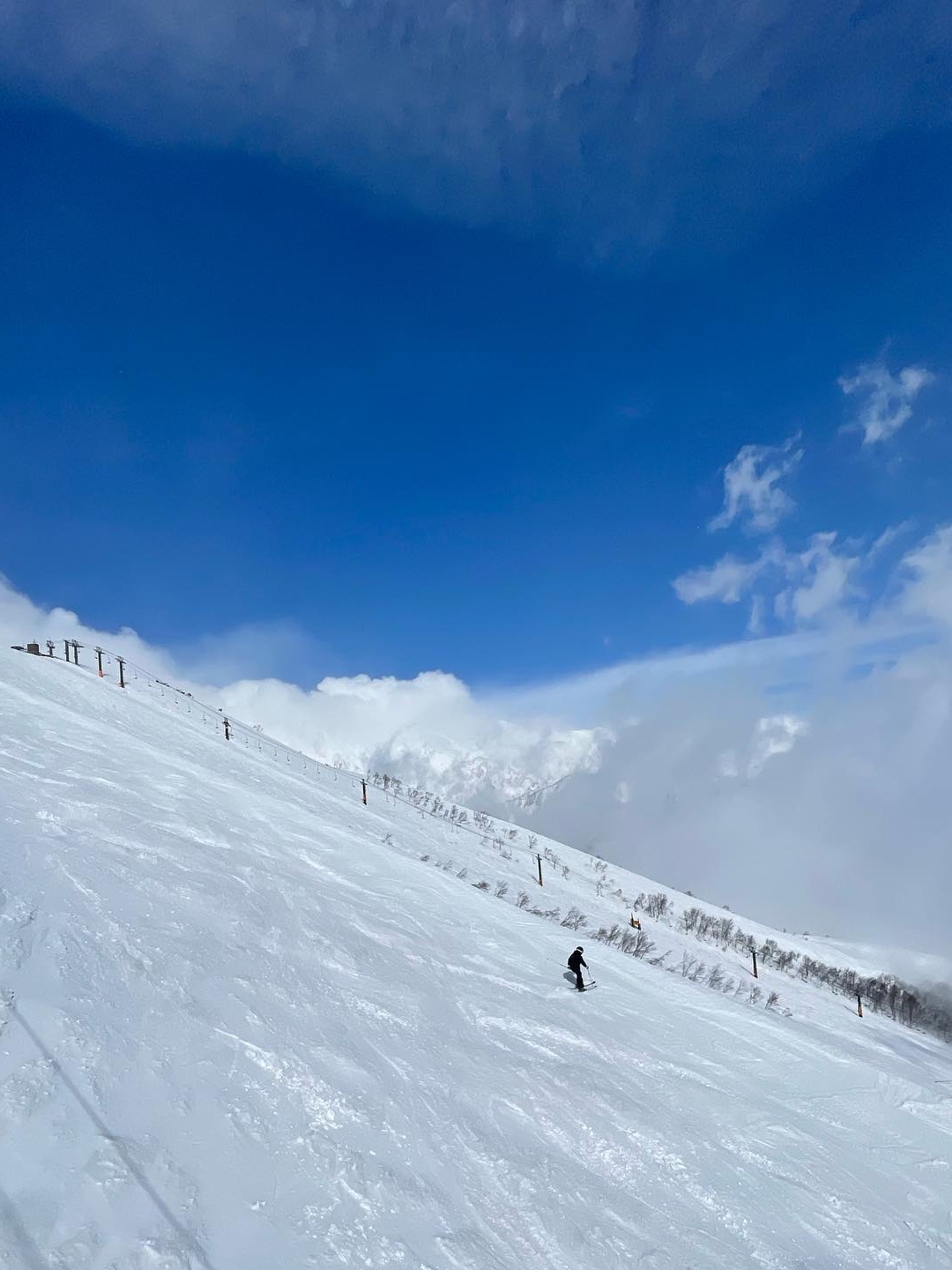 刺激又好玩 | 白马八方尾根滑雪场