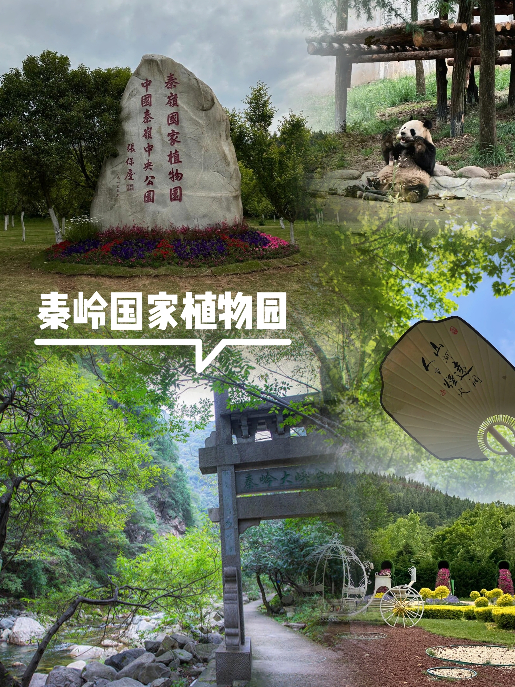 🌈西安周边游｜🌱秦岭国家植物园～国家级天然氧吧！