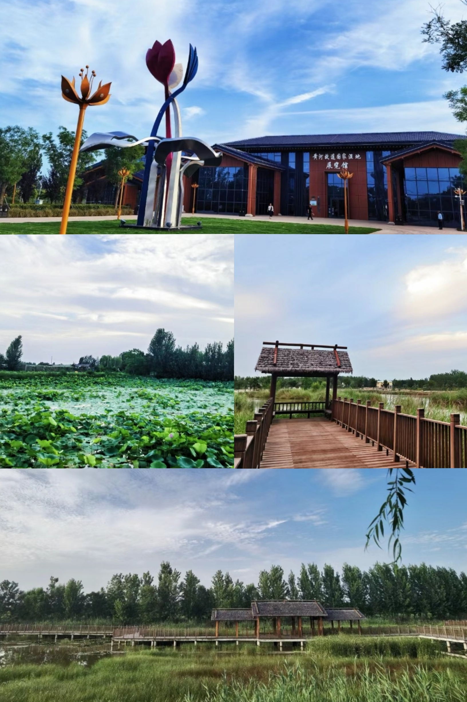 游曹县——赏自然生态风景