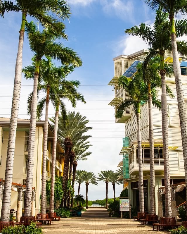 Gelato & Co. Cremeria Italiana