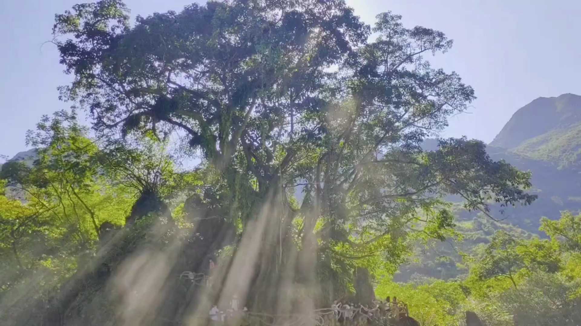 枯水期的黄果树大瀑布!!