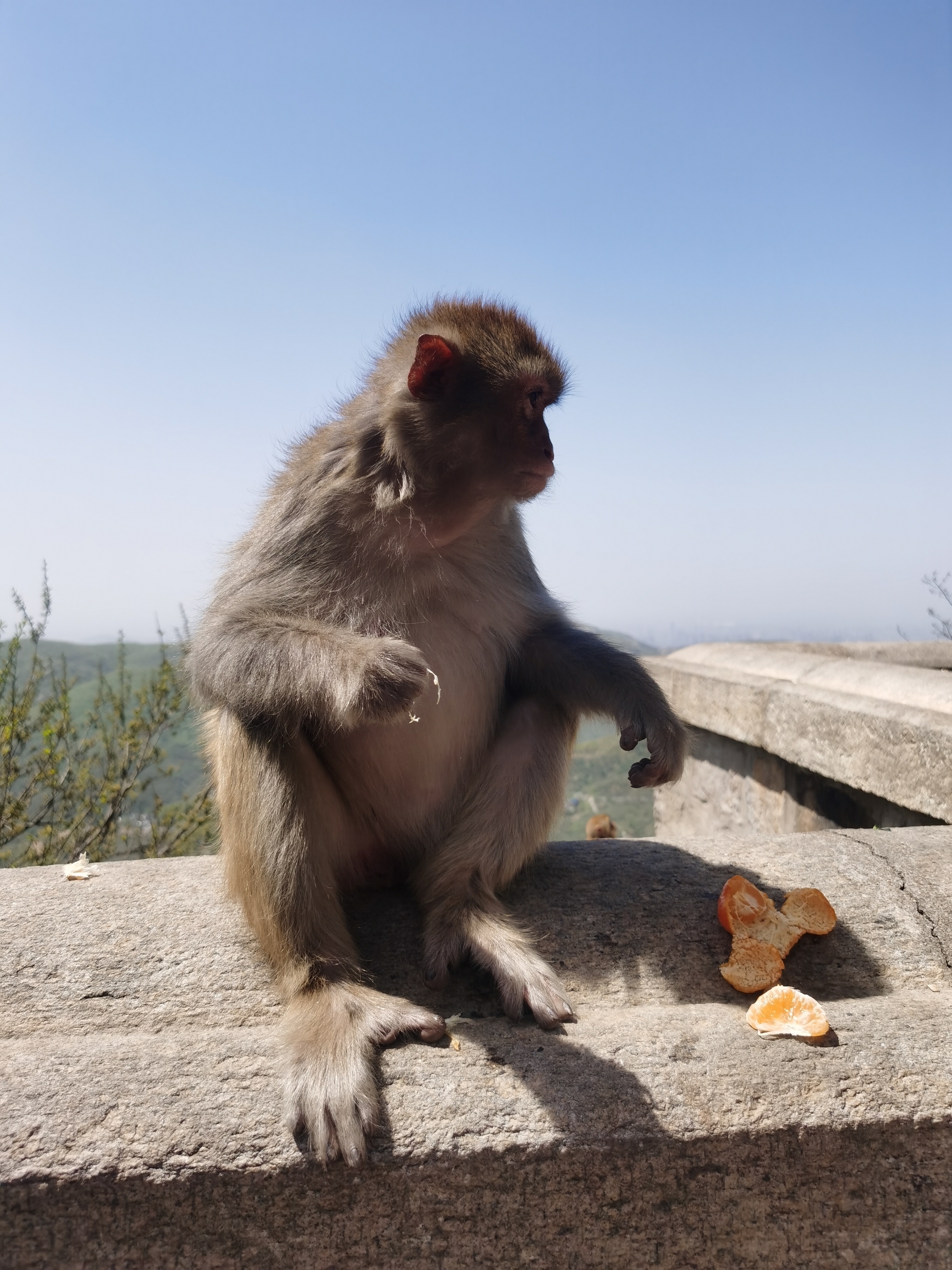 花果山是我认为连云港最值得去的地方，除了看到《西游记》中的水帘洞，我们还看了一路的猴子，享受跟猴子之