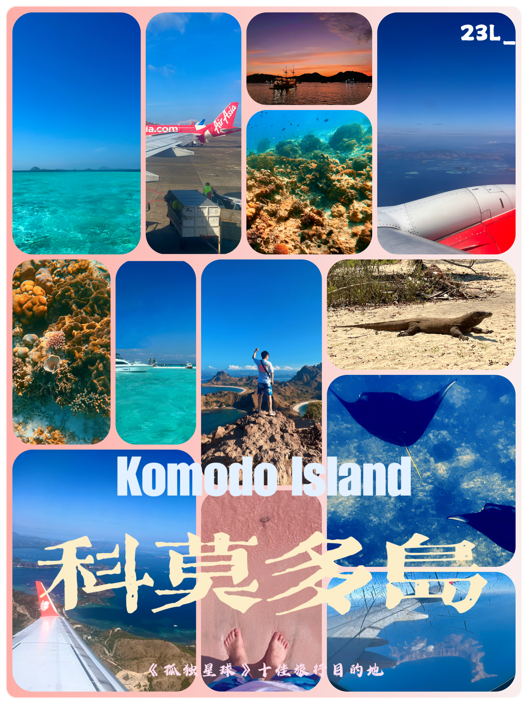 印尼科莫多岛｜粉红沙滩+科莫多龙+人间塞尔达🏖️