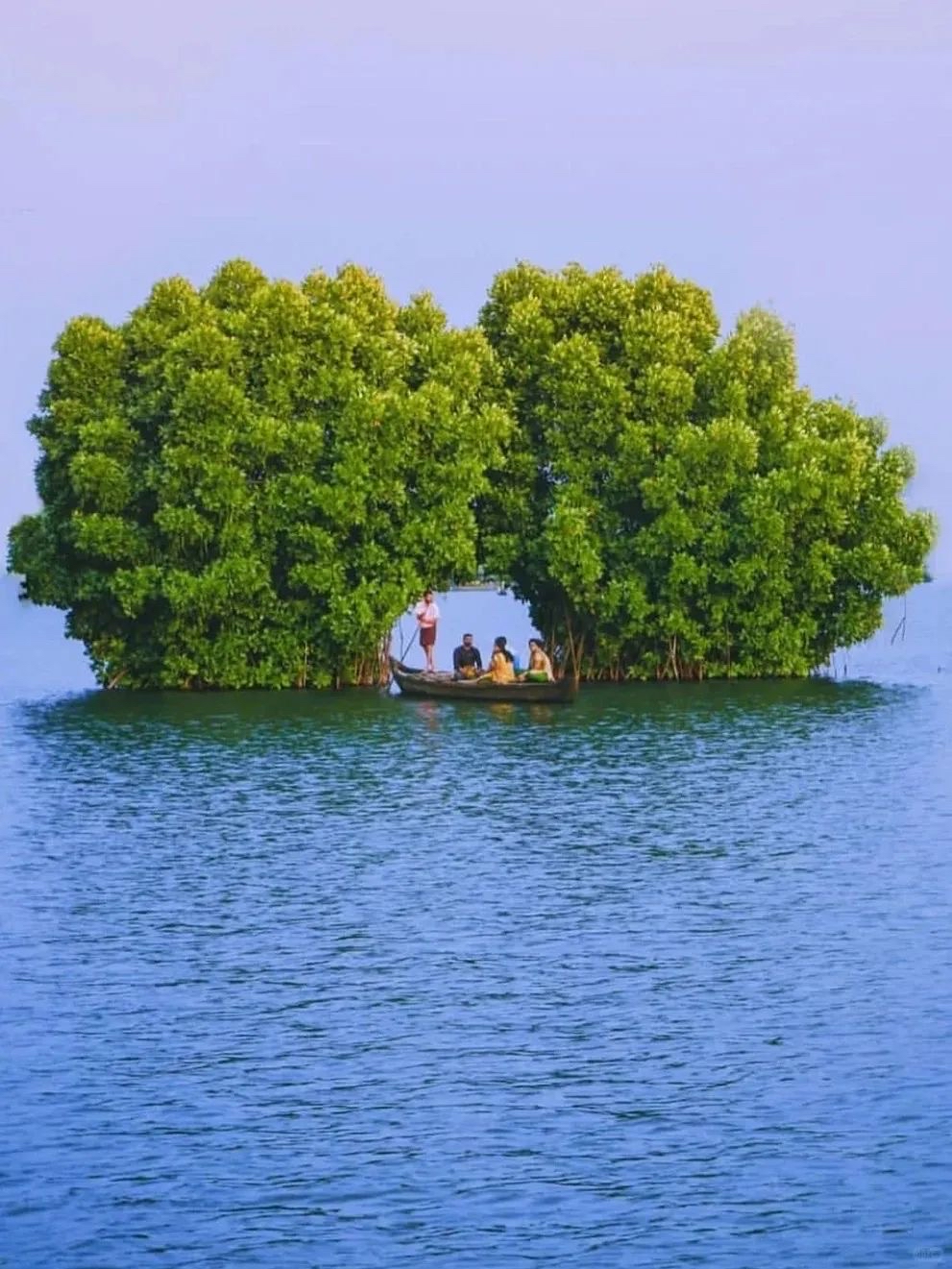 绿海森林🌳｜印度🇮🇳