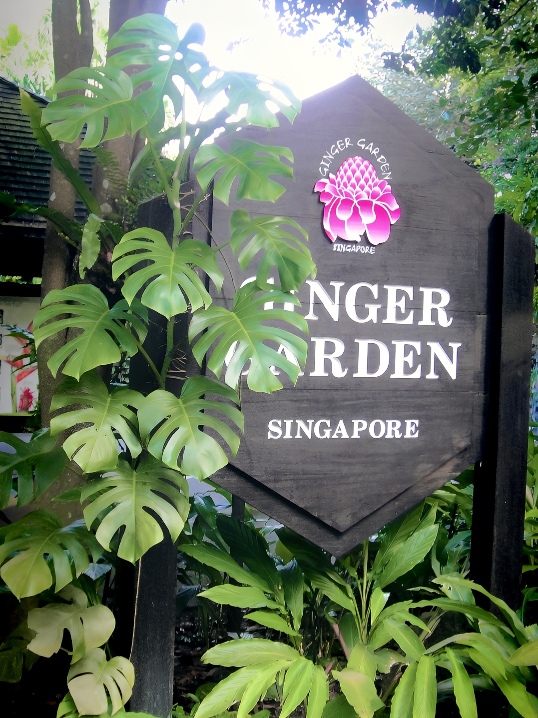 胡姬花原来就是兰花呀！新加坡植物园值得前往吗？