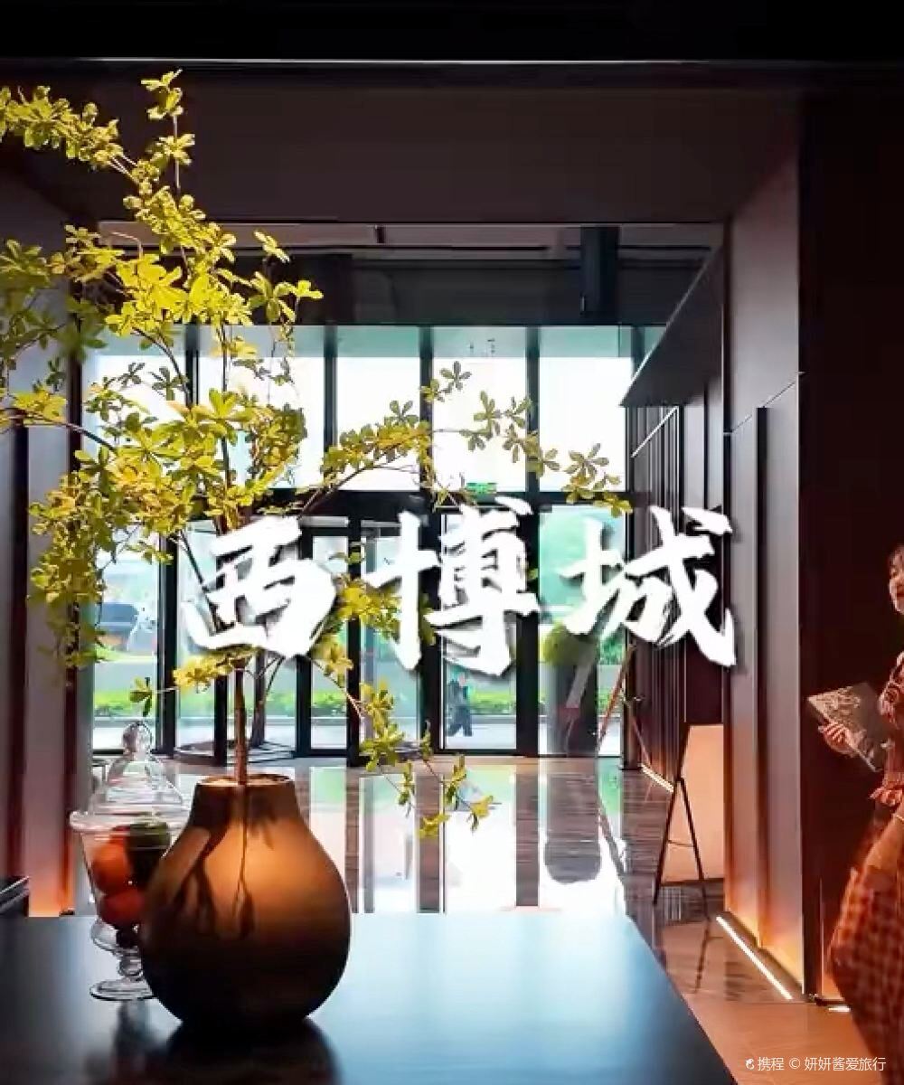 成都西博城中心城际酒店图片