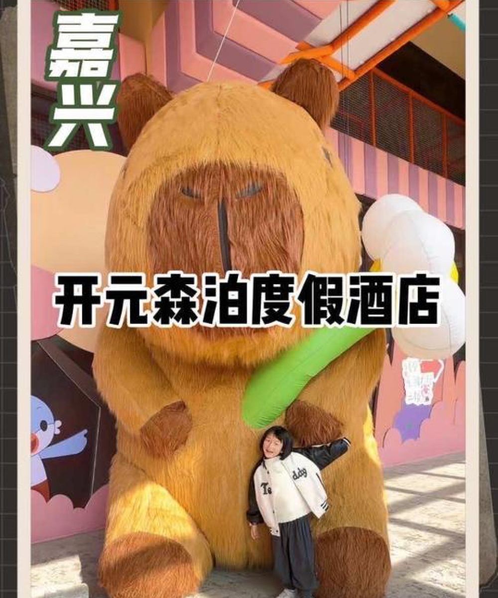 嘉兴开元森泊度假酒店图片