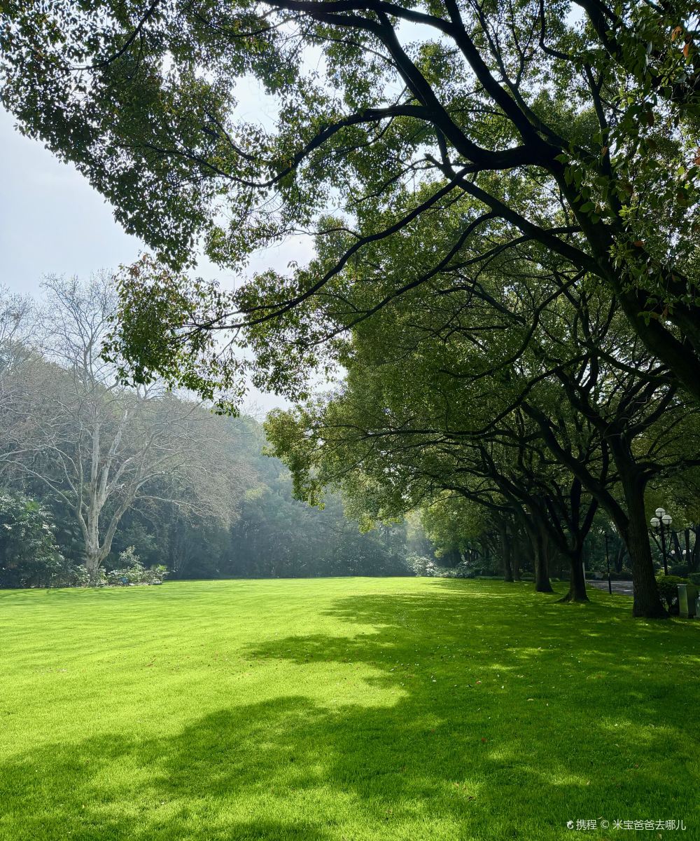 上海西郊宾馆图片