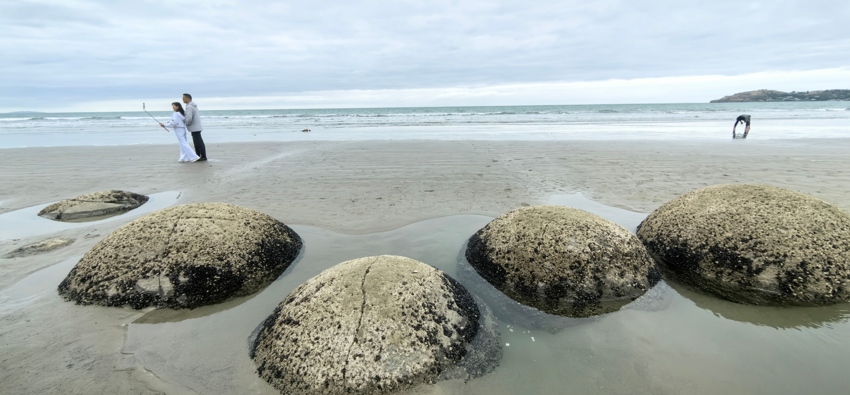新西兰莫拉基大圆石