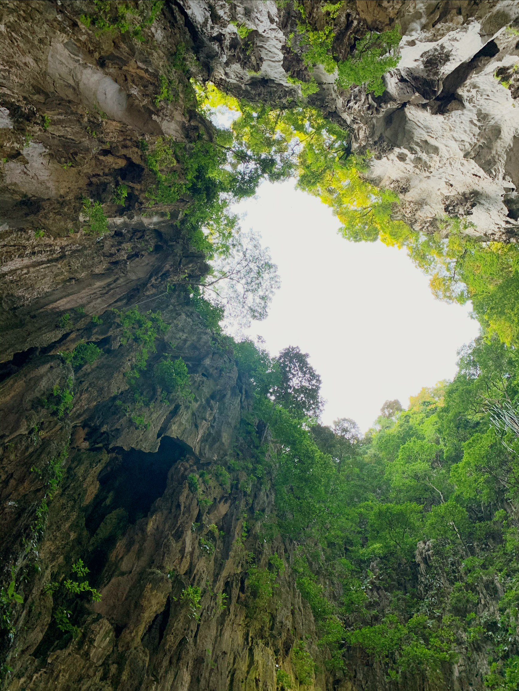 东南亚神秘洞穴探险之旅