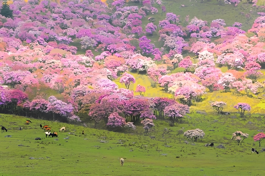 绝美！ 川西宝藏美景  小众之旅