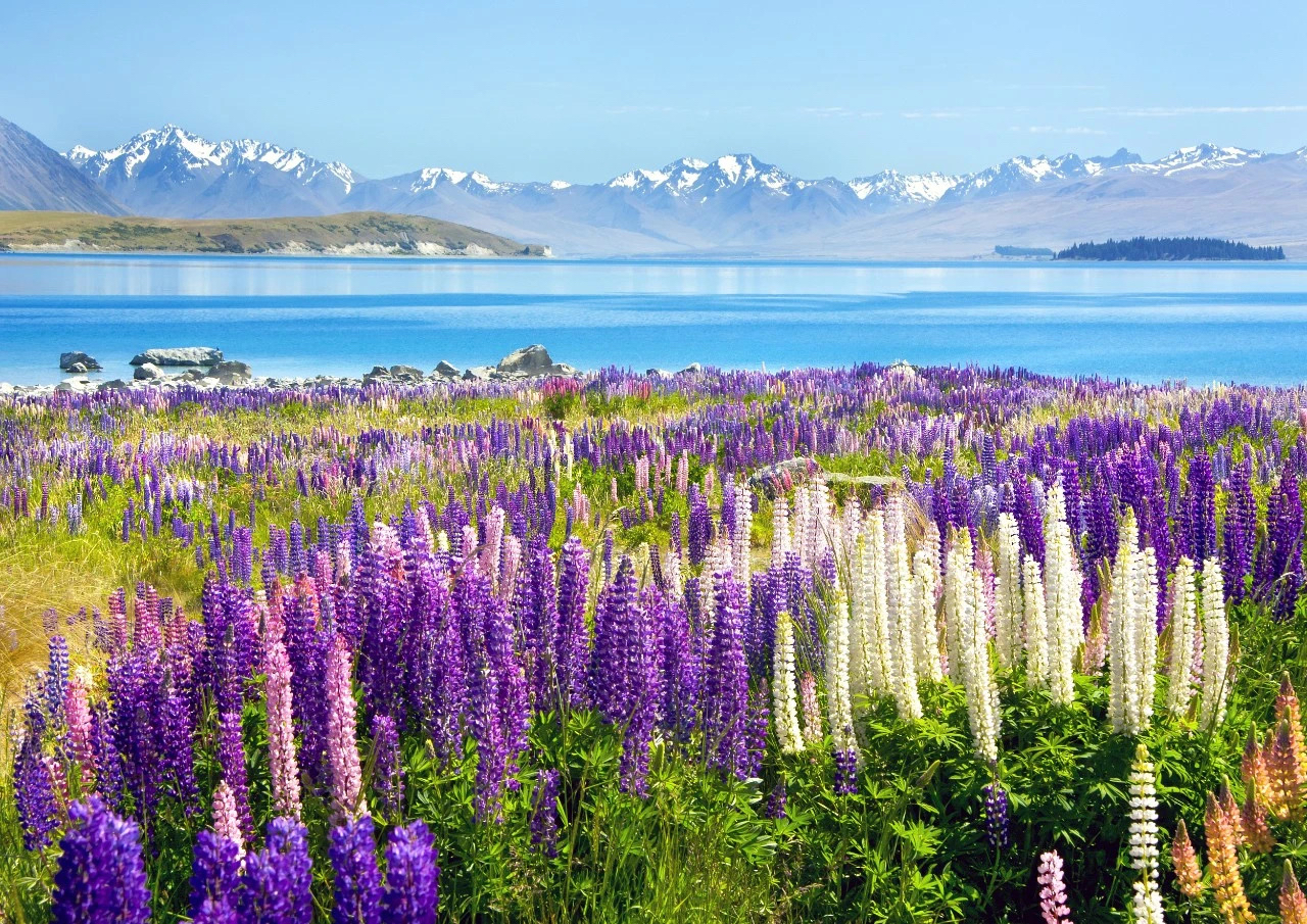 新西兰——最适合年末的旅行目的地