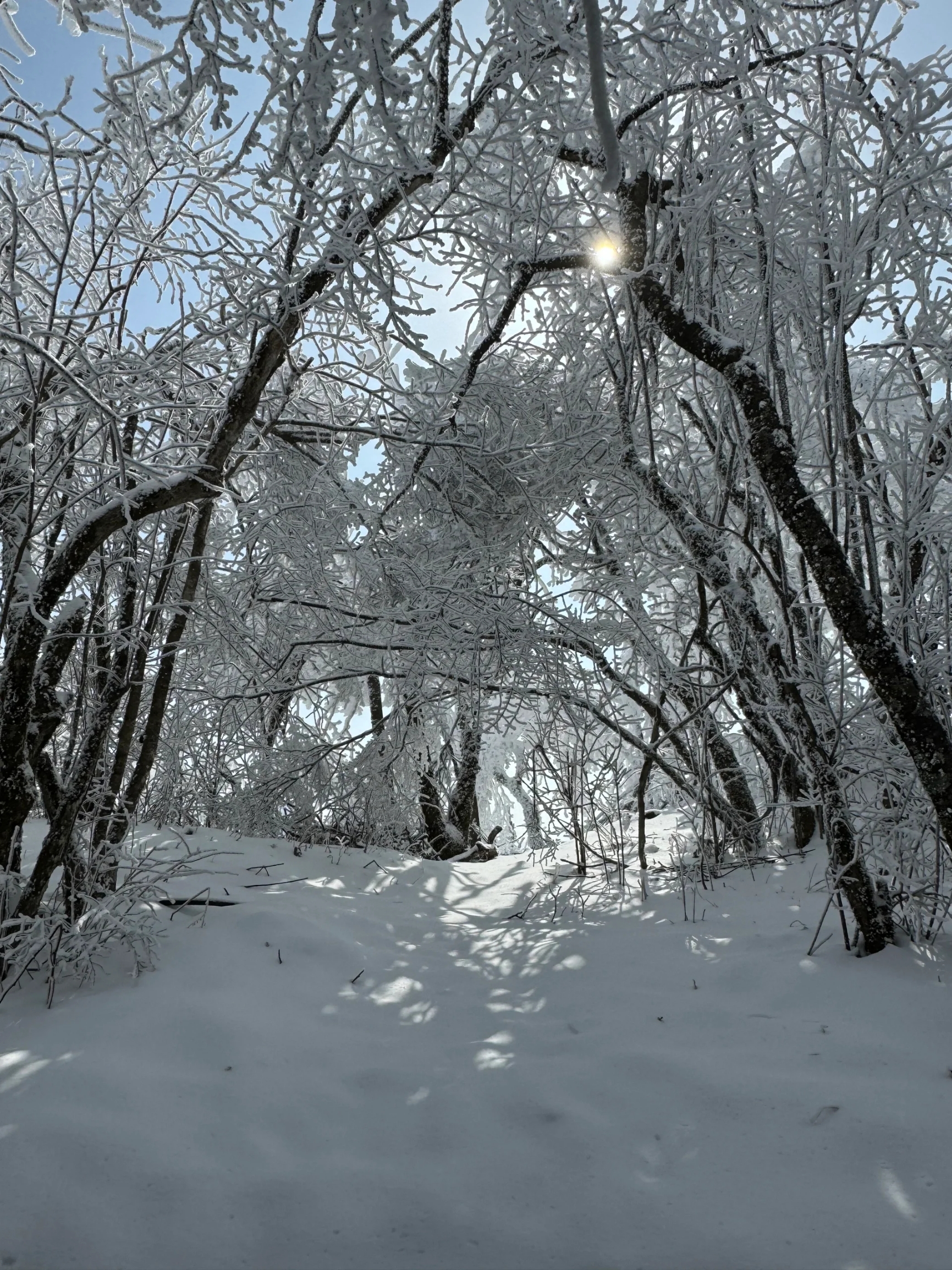 汉中龙头山雪景，冰雪世界