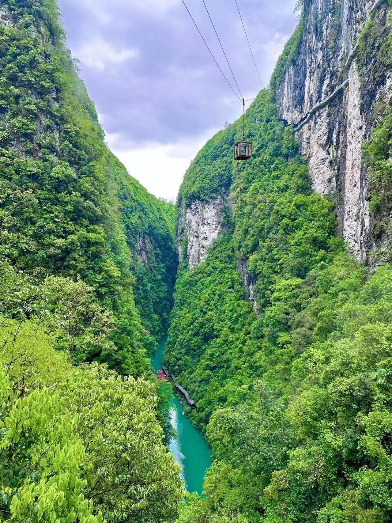 张关合渣(女儿城店)餐厅图片