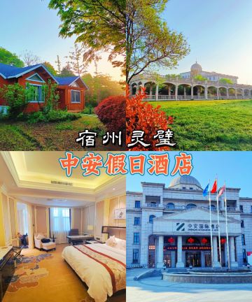 灵璧中安国际酒店图片