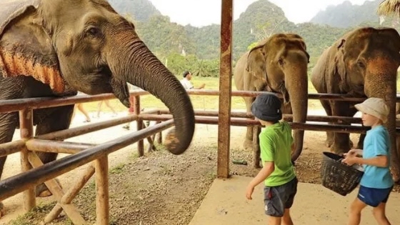 Elephant Hills度假村：泰国最独特的亲子遊