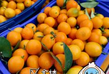 城北综合农贸市场购物图片