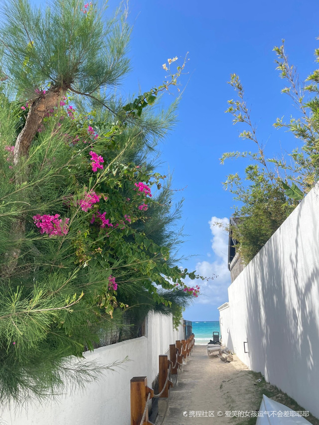 牙买加世界上最穷犯罪率最高的地区之一