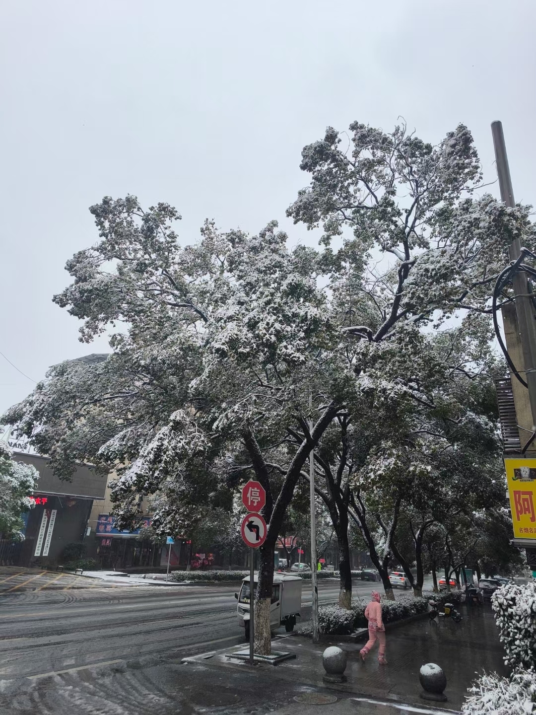 瑞雪兆丰年