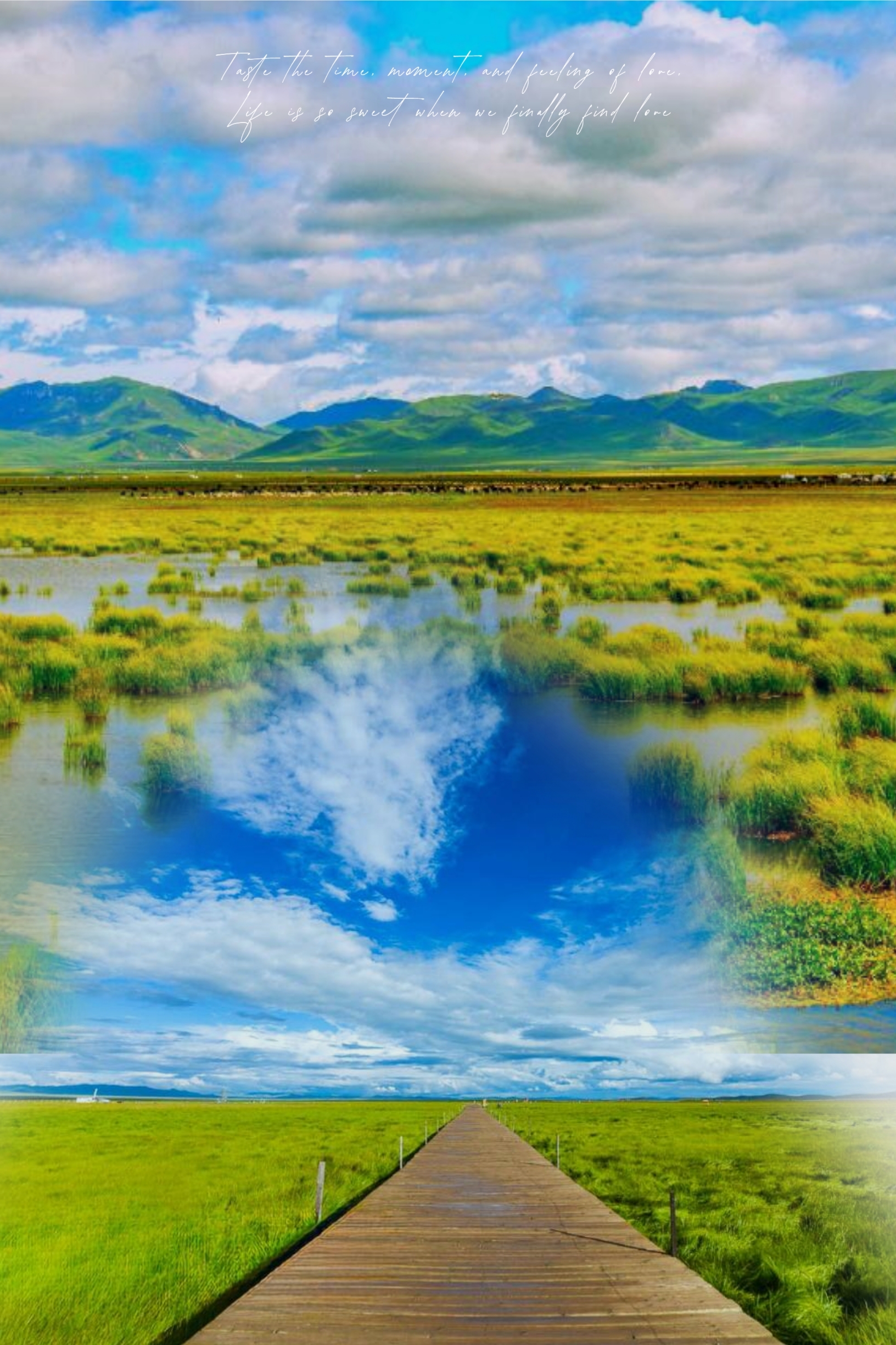 🌸🏞️若尔盖花湖 | 漫步高原花海，体验自然的纯净与和谐🌼