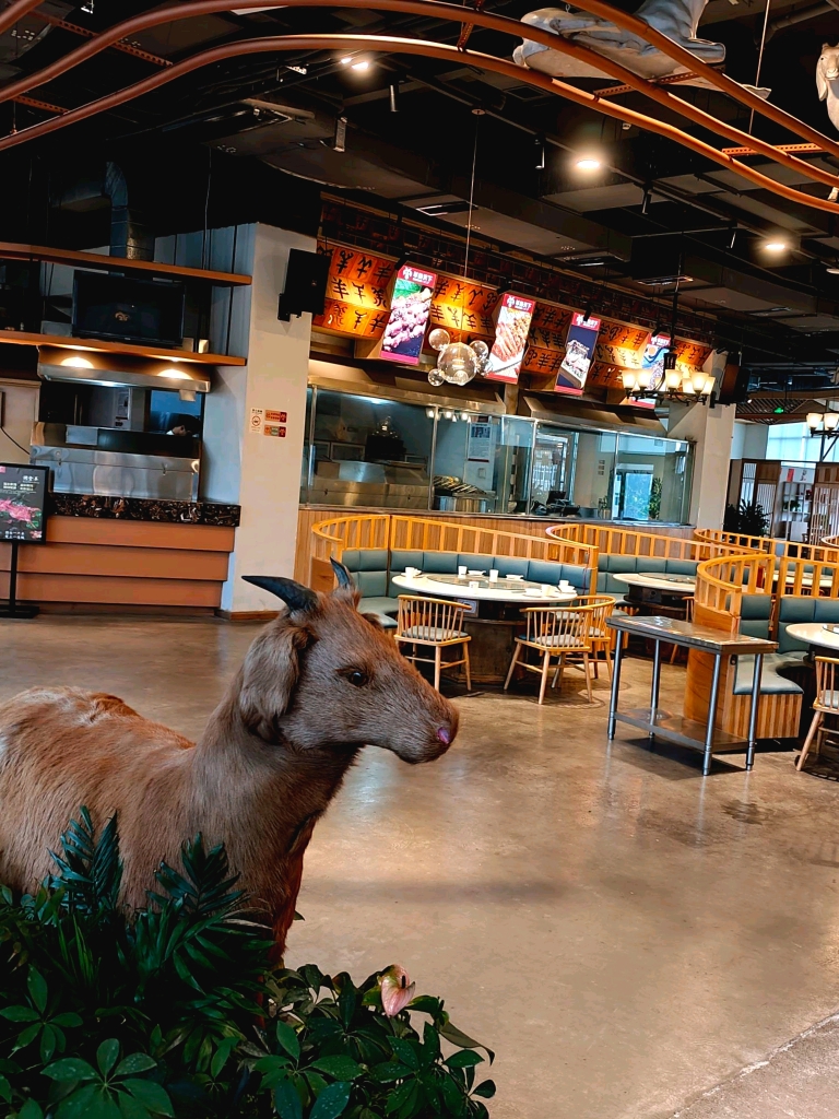 羊扬天下·中餐·羊肉汤·火锅餐厅图片