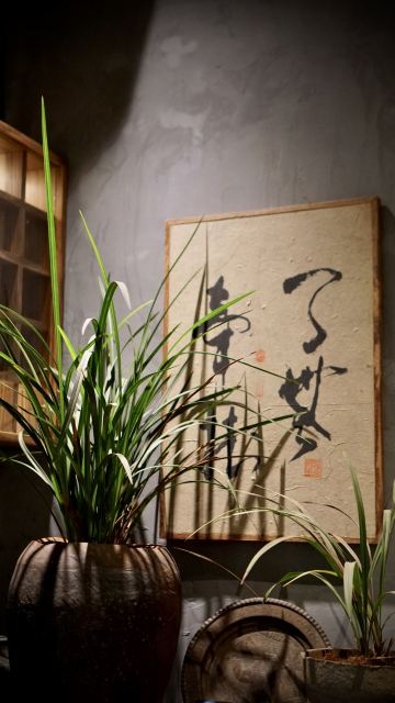 Gallery 4