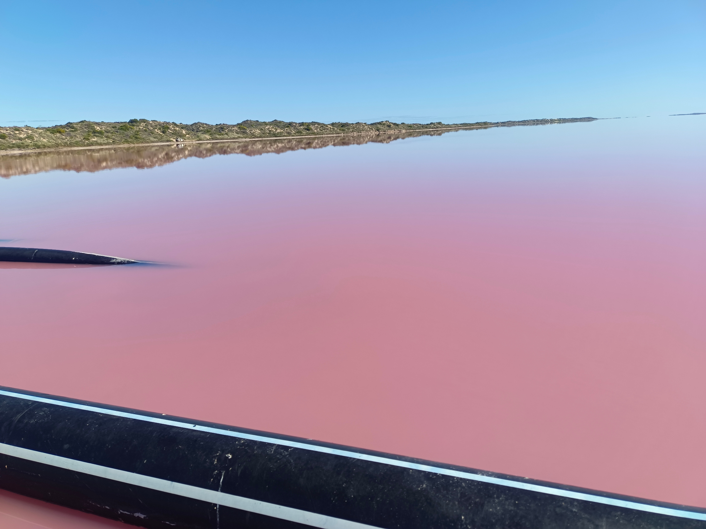 珀斯最惊艳的粉红湖