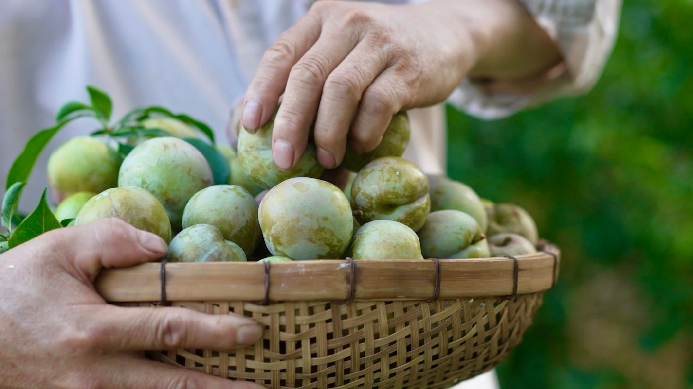 翁源县三华李餐厅图片