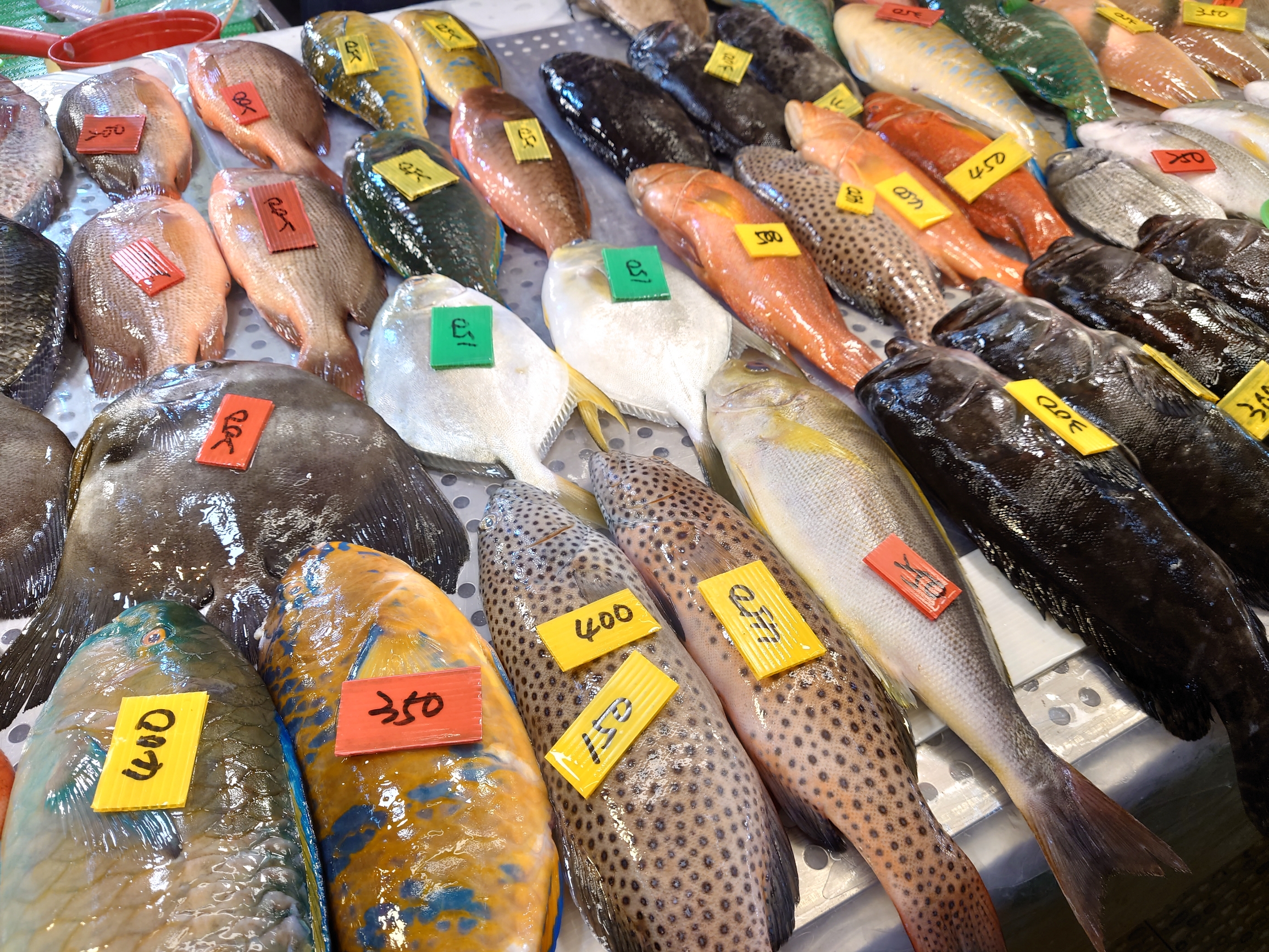 东港华侨市场…南臺灣最大的海鮮觀光市場！各式各樣的魚類…海鮮…讓人眼花繚亂!熱愛海鮮美食的夥伴…一定