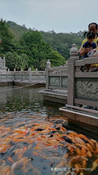 梅州市丰顺丰顺公园又名万佛园